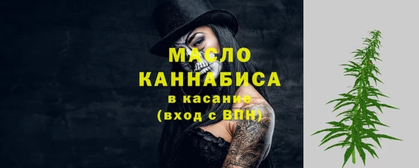 индика Беломорск